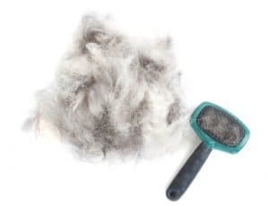 A pile of dog fur next to a dog brush