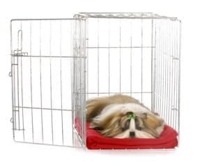 A dog laying on a blanket in a metal kennel
