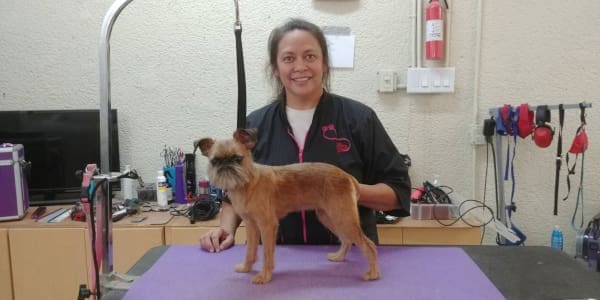 Yvette Cooley of Sarasota Grooming with a dog